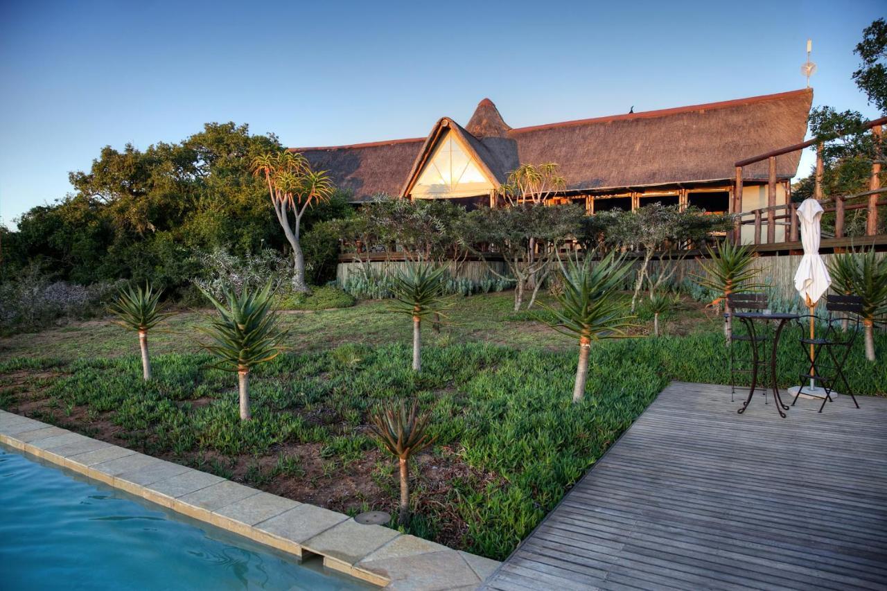 Bush Lodge - Réserve animalière d'Amakhala Extérieur photo
