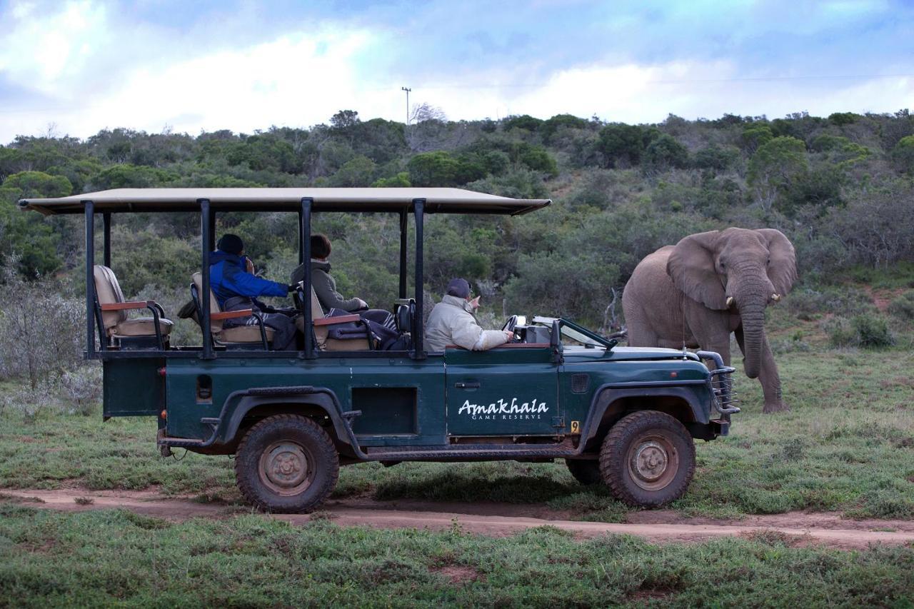 Bush Lodge - Réserve animalière d'Amakhala Extérieur photo