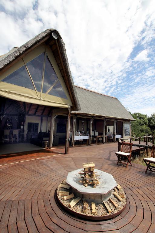 Bush Lodge - Réserve animalière d'Amakhala Extérieur photo