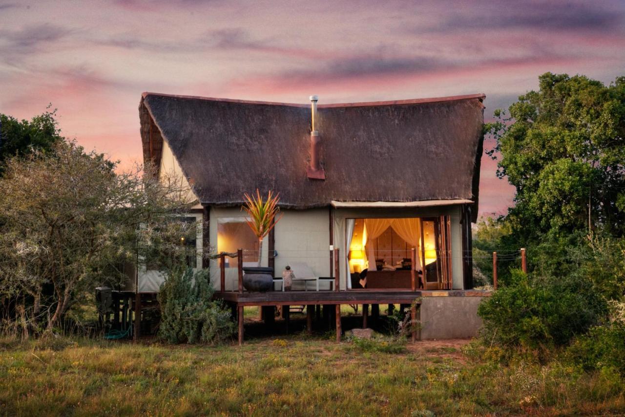 Bush Lodge - Réserve animalière d'Amakhala Extérieur photo