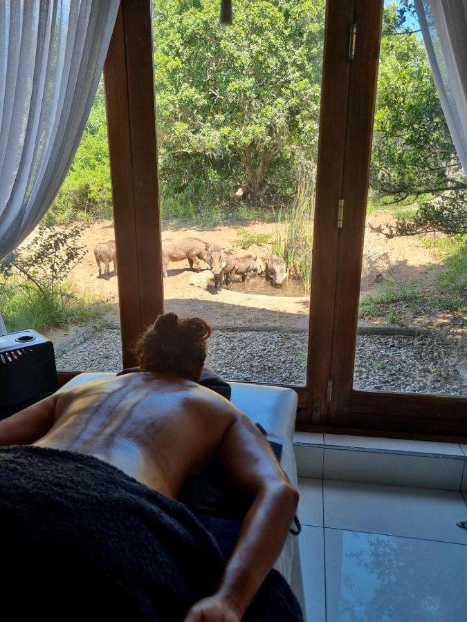 Bush Lodge - Réserve animalière d'Amakhala Extérieur photo