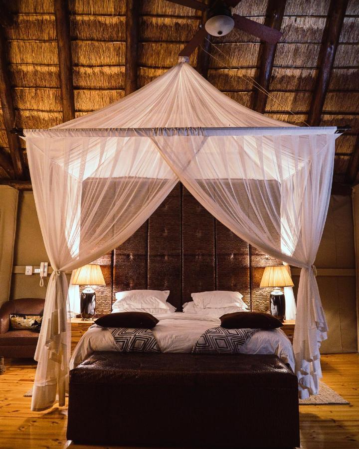 Bush Lodge - Réserve animalière d'Amakhala Extérieur photo
