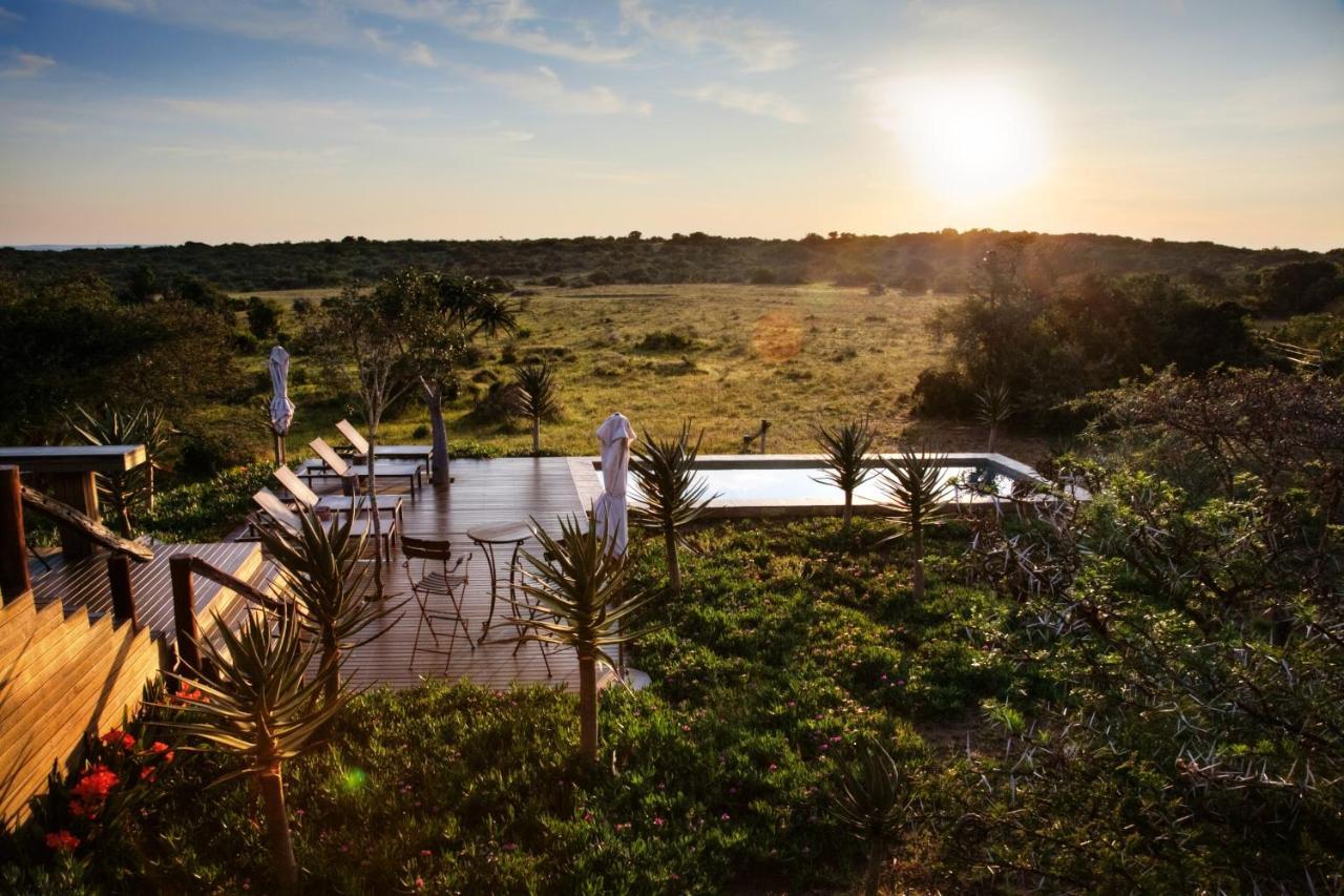 Bush Lodge - Réserve animalière d'Amakhala Extérieur photo