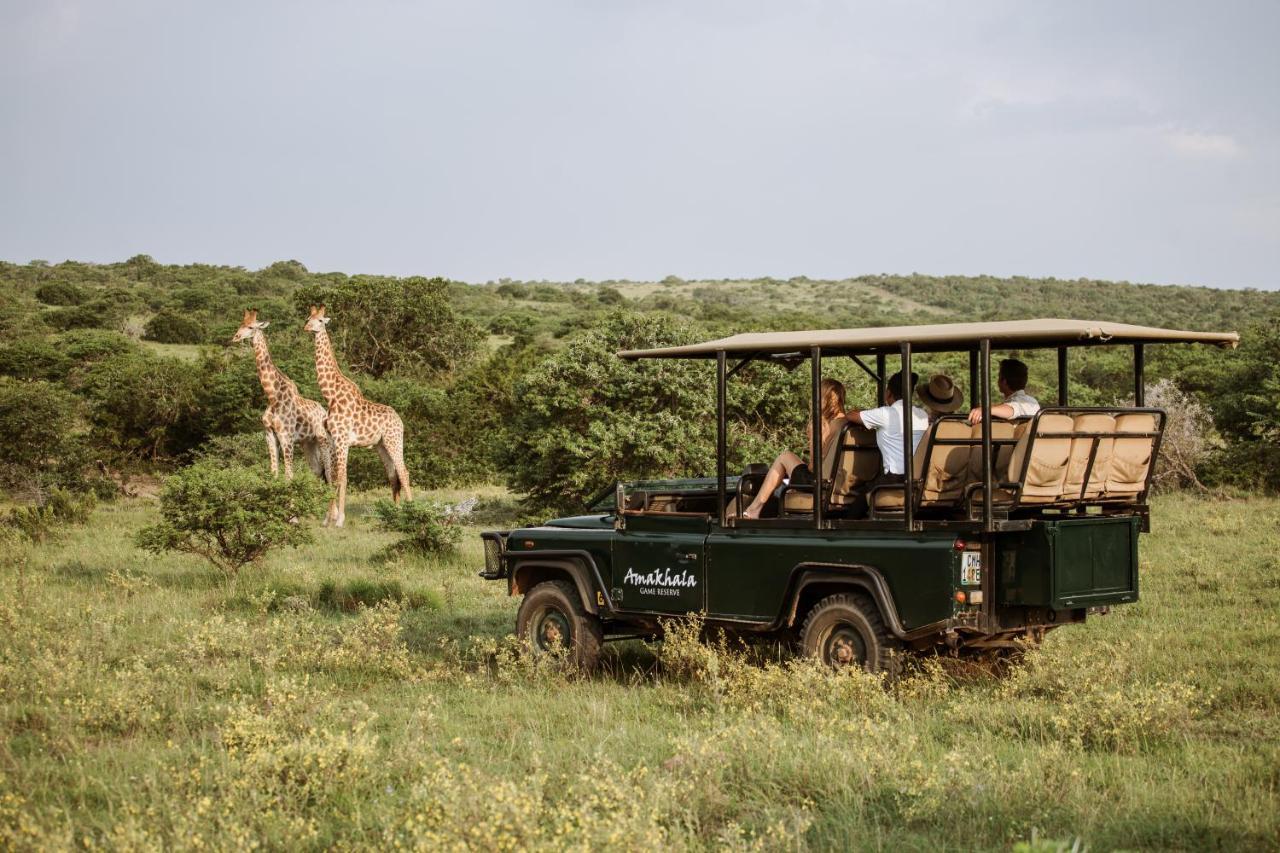 Bush Lodge - Réserve animalière d'Amakhala Extérieur photo