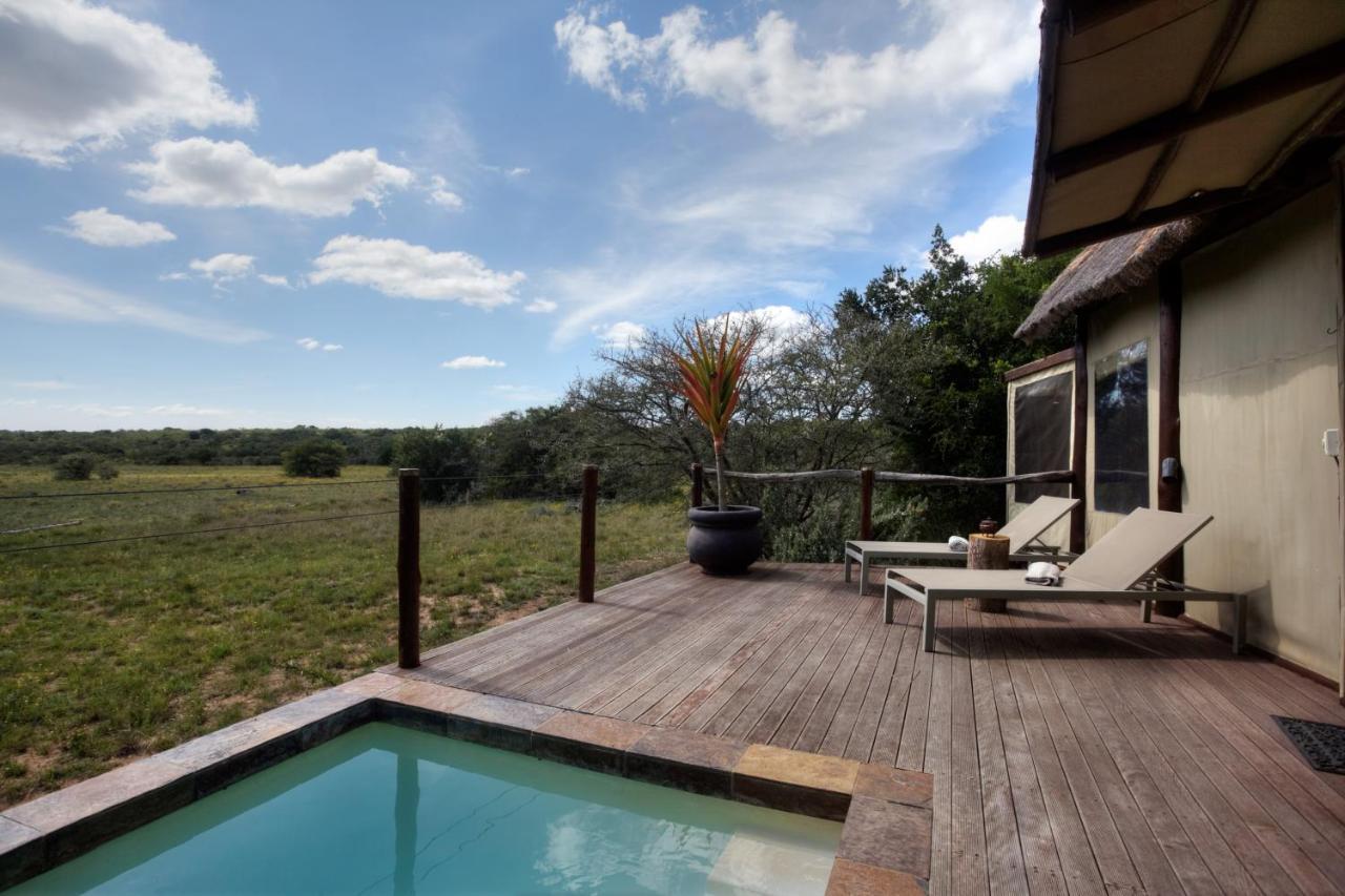 Bush Lodge - Réserve animalière d'Amakhala Extérieur photo