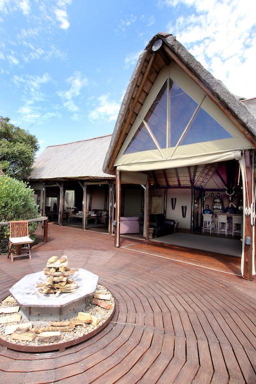 Bush Lodge - Réserve animalière d'Amakhala Extérieur photo