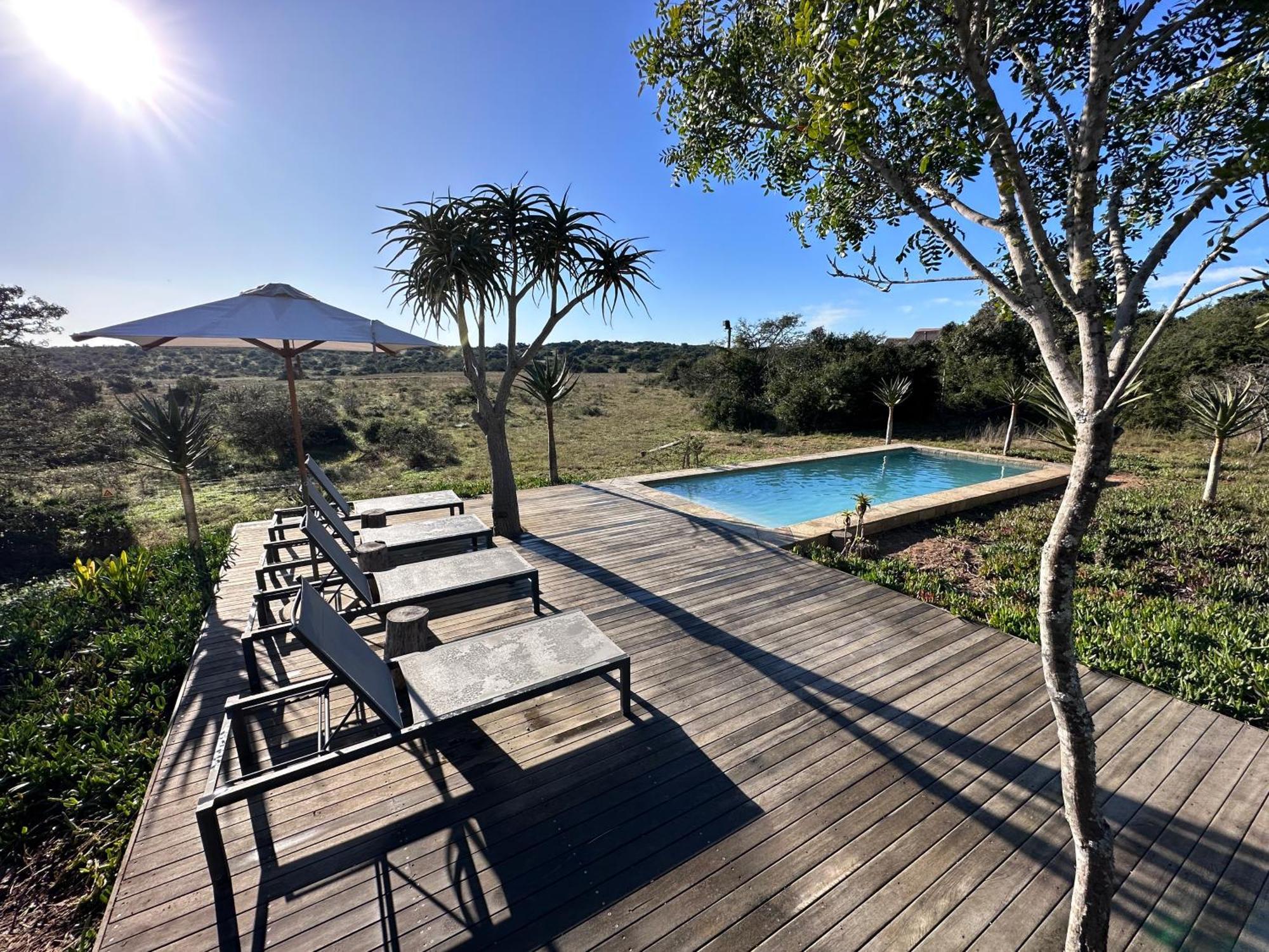 Bush Lodge - Réserve animalière d'Amakhala Extérieur photo