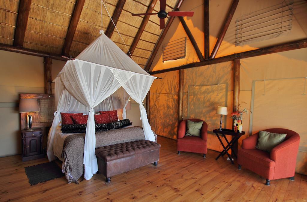 Bush Lodge - Réserve animalière d'Amakhala Extérieur photo