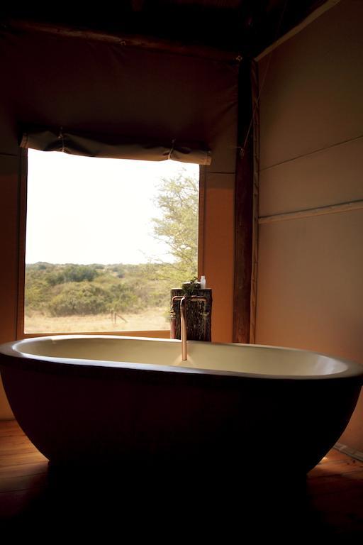 Bush Lodge - Réserve animalière d'Amakhala Extérieur photo