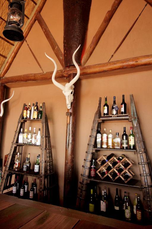 Bush Lodge - Réserve animalière d'Amakhala Extérieur photo