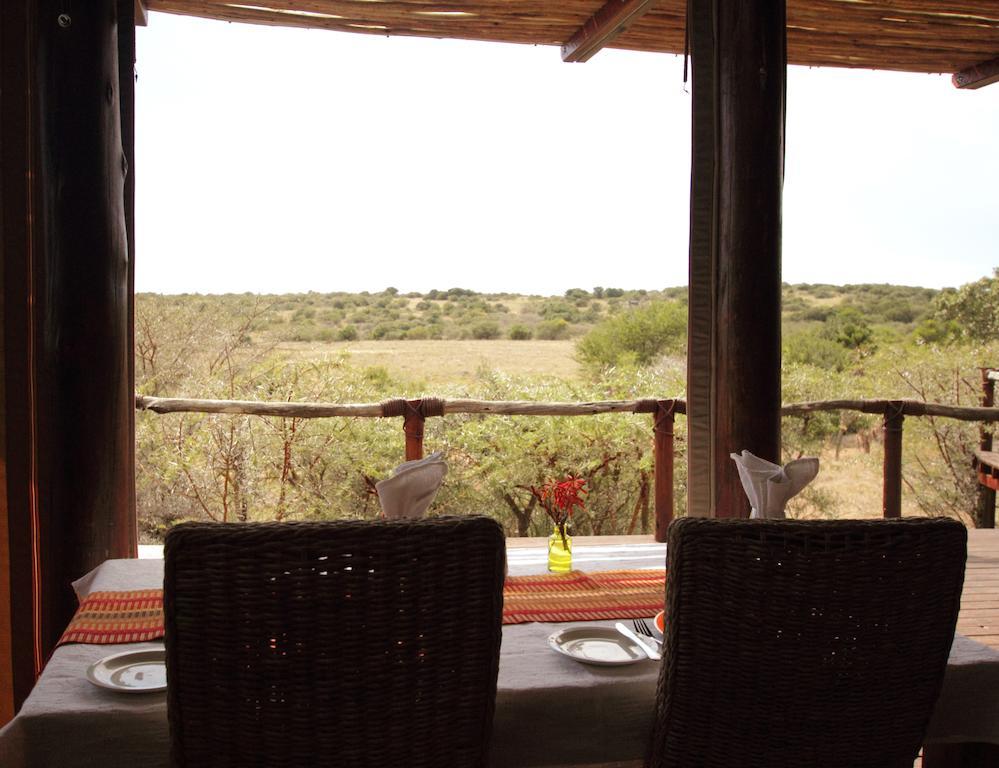 Bush Lodge - Réserve animalière d'Amakhala Extérieur photo