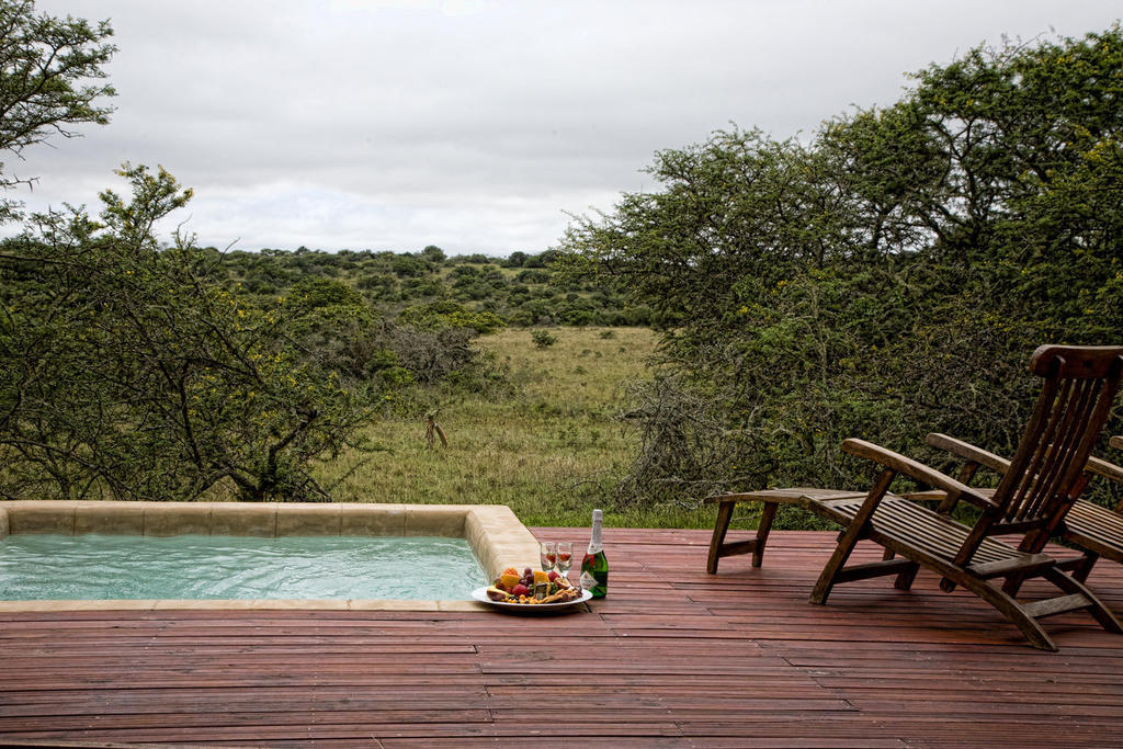 Bush Lodge - Réserve animalière d'Amakhala Chambre photo