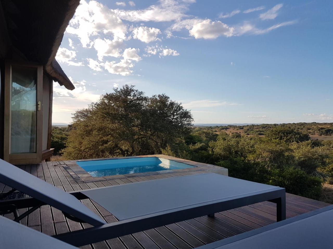 Bush Lodge - Réserve animalière d'Amakhala Extérieur photo